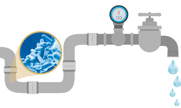 Cuidado com a água: bactérias presentes em tubulações podem causar doenças