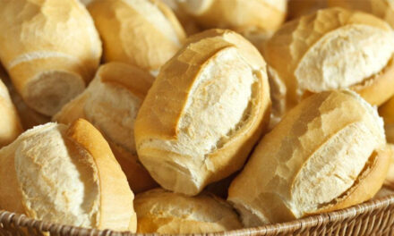 Vilão ou aliado da saúde? Aprenda a escolher o melhor tipo de pão para a sua saúde